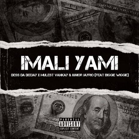 Imali Yami ft. Mulest Vankay, Junior Jayrio & Biggie Wiggie