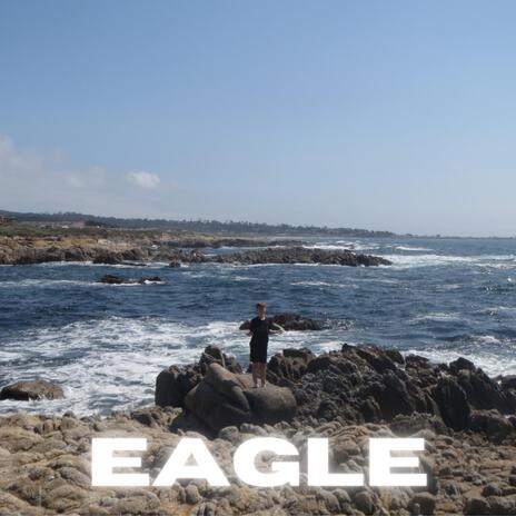 Eagle (Remix) | Boomplay Music