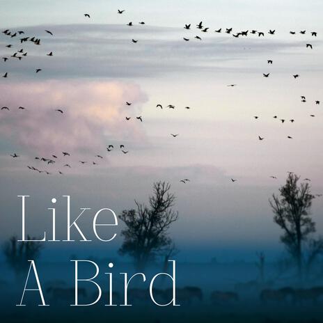 Like A Bird | Boomplay Music