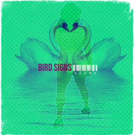 Bird Signs | Boomplay Music