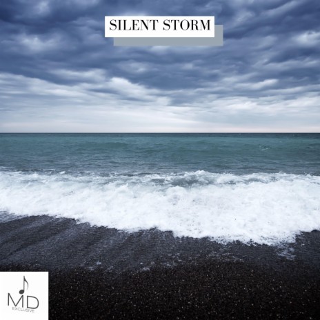 Silent Storm | Boomplay Music
