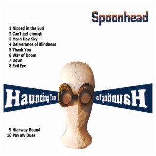 spoonhead