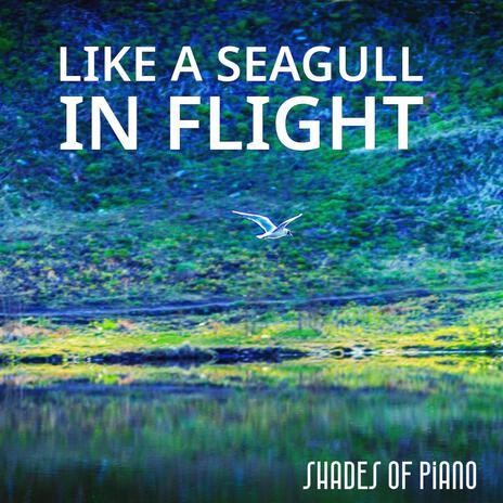 Like a Seagull in flight | Boomplay Music