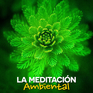 La Meditación Ambiental