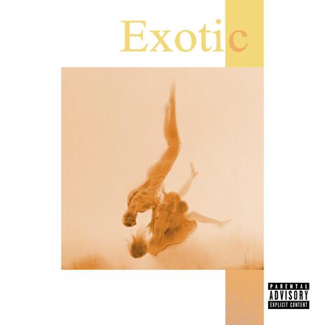 Exotic. | Boomplay Music