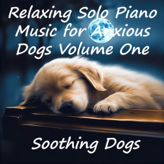 Relaxing Solo Piano Music for Anxious Dogs Volume One