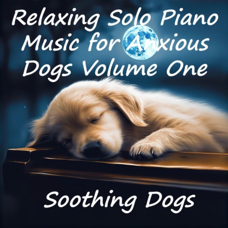 Let Sleeping Dogs Lie, Pt. 7 (Solo Piano)