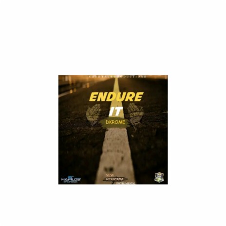 Endure it (Radio Edit) | Boomplay Music