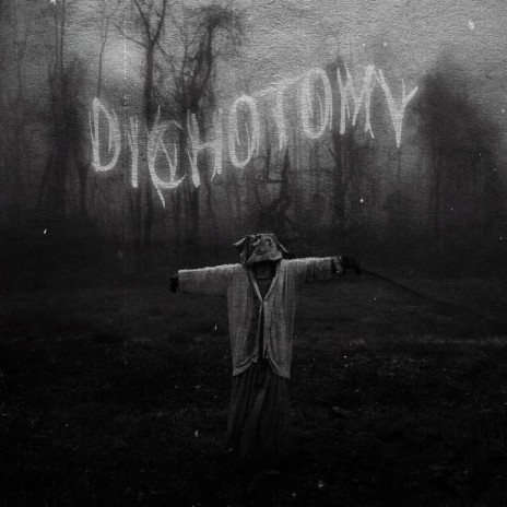 Dichotomy ft. Veinn | Boomplay Music
