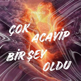 Çok Acayip Bir Şey Oldu