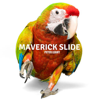 Maverick Slide