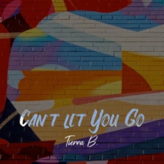 Can't Let You Go lyrics | Boomplay Music