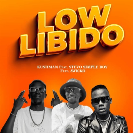 Low Libido ft. AWICKO & STEVO SIMPLE BOY | Boomplay Music