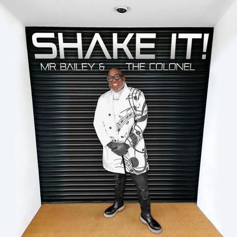 Shake It | Boomplay Music