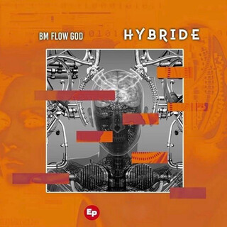 Hybride