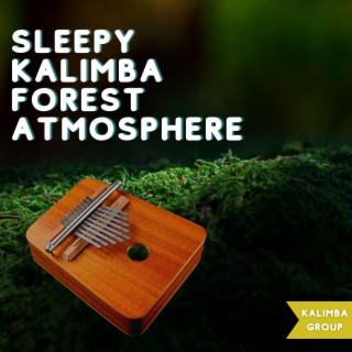 Sleepy Kalimba Forest Atmosphere