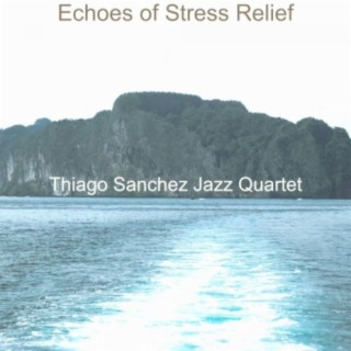 Echoes of Stress Relief