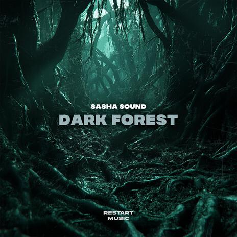 Dark Forest | Boomplay Music