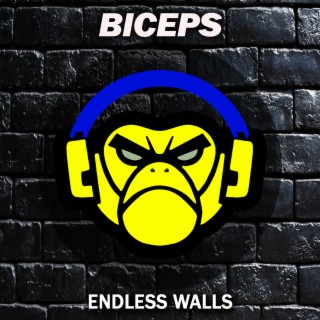 Endless Walls