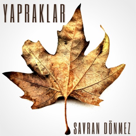 Yapraklar (Original Mix) | Boomplay Music