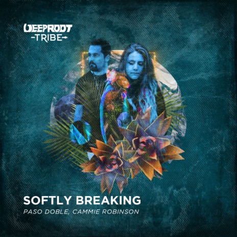 Softly Breaking ft. Cammie Robinson | Boomplay Music