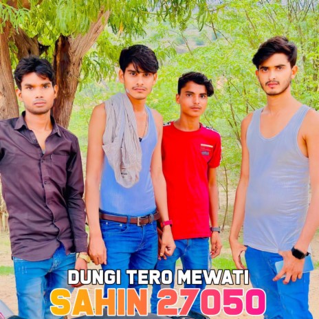 Sahin singer best sale mewati song