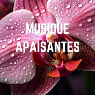 Musique apaisantes pour la pratique de la pleine conscience: Un fond relaxant pour la méditation et le yoga