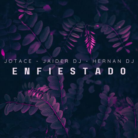 Enfiestado ft. Jaider Dj & Hernan Dj | Boomplay Music