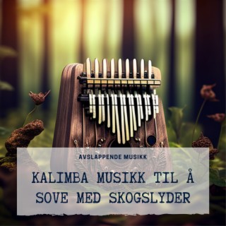 Kalimba Musikk til å Sove med Skogslyder