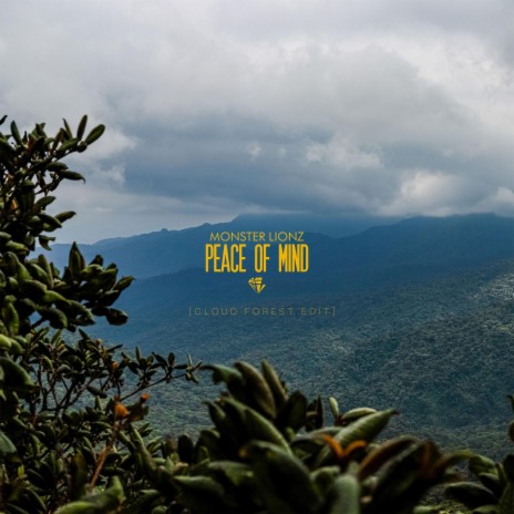 Peace of Mind (Cloud Forest Edit) | Boomplay Music