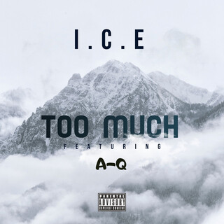 Too Much I.C.E