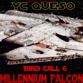Bird Call 6 Millennium Falcon