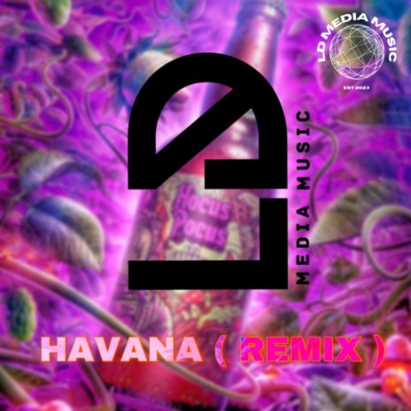 Havana (Remix) | Boomplay Music