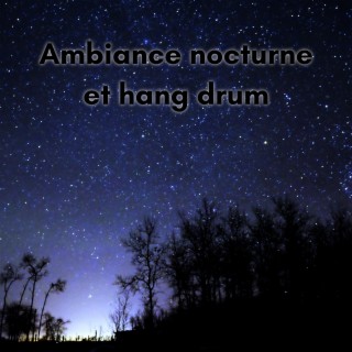 Ambiance nocturne et hang drum