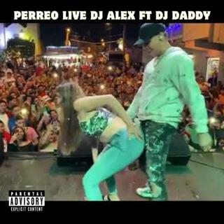 PERREO LIVE (Live)