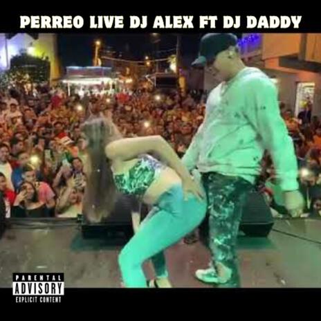 PERREO LIVE (Live) | Boomplay Music