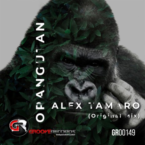 Orangutan (Original Mix) | Boomplay Music