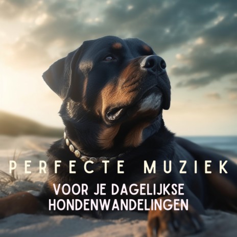 Instrumentale muziek voor honden