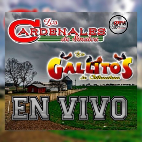 Arboles De La Barranca (En vivo) | Boomplay Music