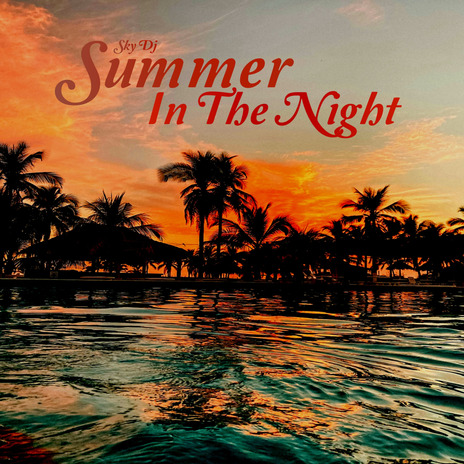 Summer in the Night (Dj)