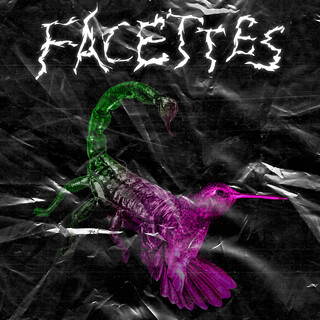 Facettes