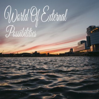 World Of External Possibilities