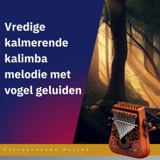 Vredige kalmerende kalimba melodie met vogel geluiden - Perfect voor slaap en ontspanning