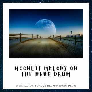 Moonlit Melody on the Hang Drum