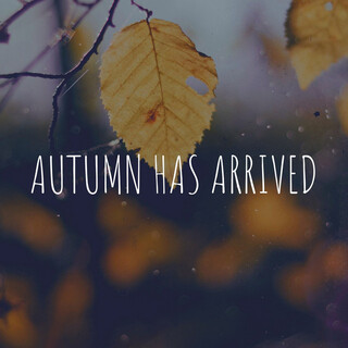 Autumn Has Arrived