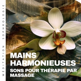 Mains harmonieuses: Sons pour thérapie par massage