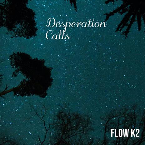 Desperation Calls | Boomplay Music