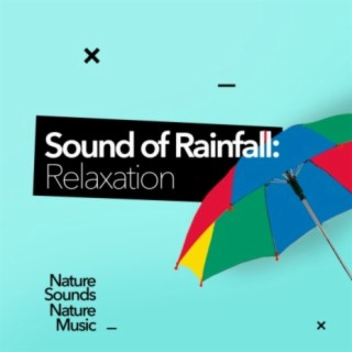 Sound of Rainfall: Relaxation