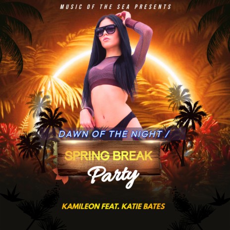 Spring Break Party (Single Mix Instrumental) | Boomplay Music
