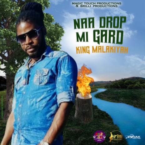 Naa Drop Mi Gard | Boomplay Music